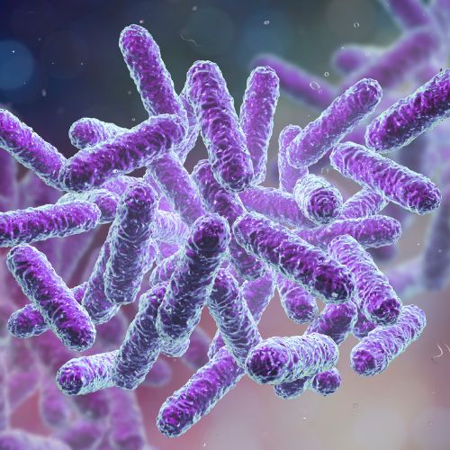 Foodborne illness