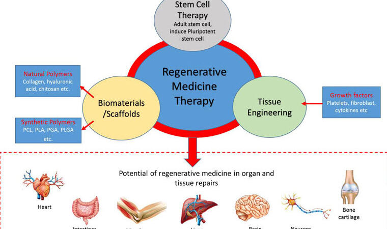 regenerative medicine therapy